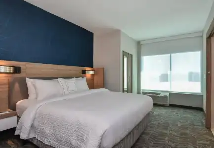 SpringHill Suites Charlotte City Center - 31