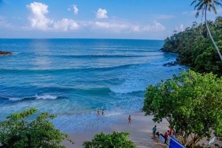 Coral Beach - 25