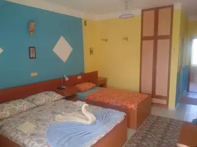 Grun - 5