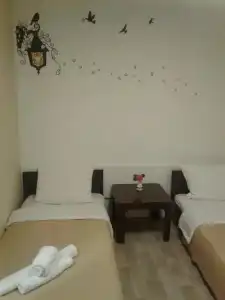 Kamelija - 26