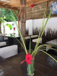 Dive Villa - 0