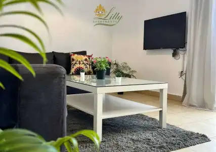 Lilly apartments - 39