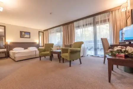 Lion Borovets - 5