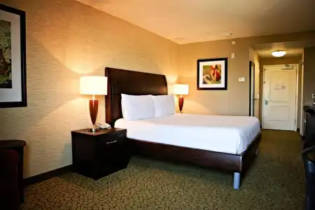 Hilton Garden Inn St. George - 57