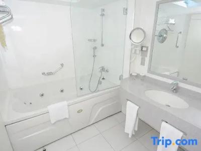 Holiday Inn Istanbul City - 99