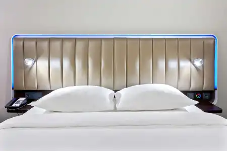 Park Inn by Radisson Kyiv Troyitska - 25