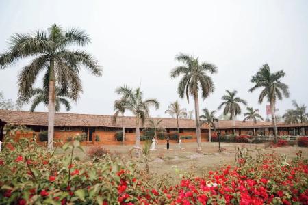 Lumbini Hokke - 12