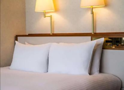 Grand Mercure Nasu Highlands Resort & Spa - 139