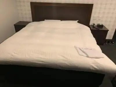 Nagoyaeki Accesshotel - 53