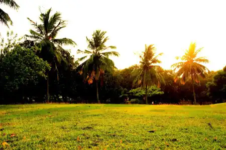 VGP Golden Beach Resort - 15