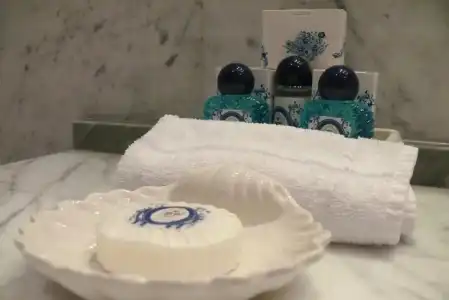 President Terme - 49