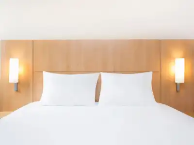 ibis Lausanne Crissier - 70