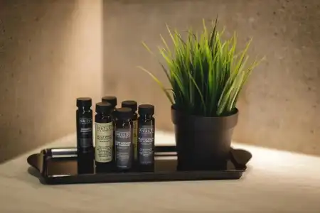 Sunrose 7 - Gourmet & SPA (16+) - 50