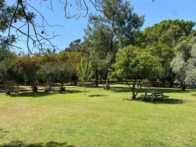 Premium park apart - 22