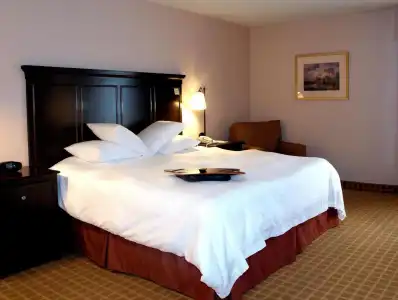 Hampton Inn Dallas-Irving-Las Colinas - 46