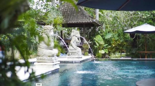 Ubud Aura Wellness Sanctuary - 26