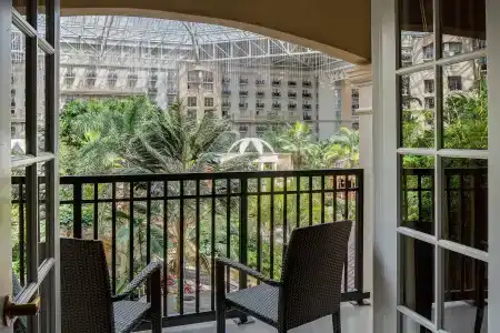 Gaylord Palms Resort & Convention Center - 22