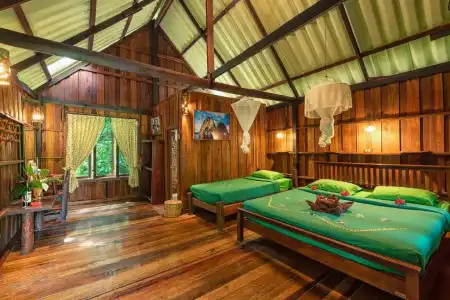 Khao Sok Riverside Cottage - 68