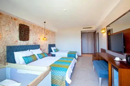 MOLİNO - 43
