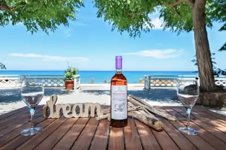 Stegna Dream - 92