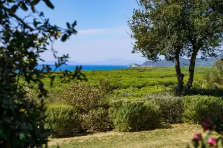 Residence Solemaremma - 47