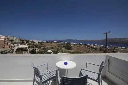 Thira's Dolphin - 81