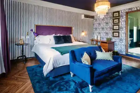Pug Seal Polanco Anatole France - 163