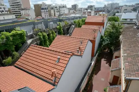 Terre Neuve - 75