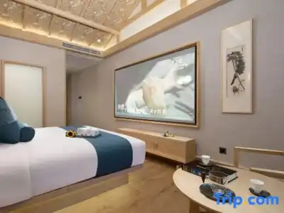 Hôtel Ibis Toulouse Purpan - 55