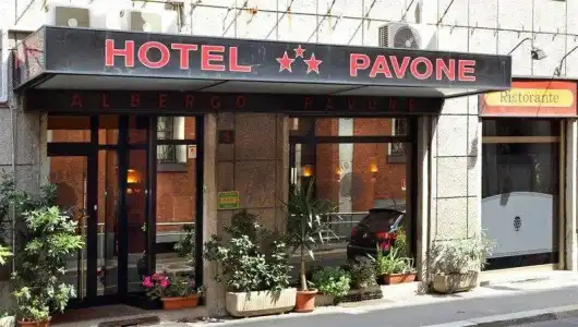 Pavone - 25