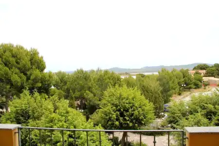 Cala dei Pini - 12