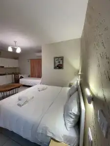 Arial Penthouse Suites - 115