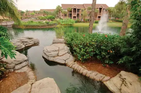 Polynesian Isles Resort By Diamond Resorts - 21
