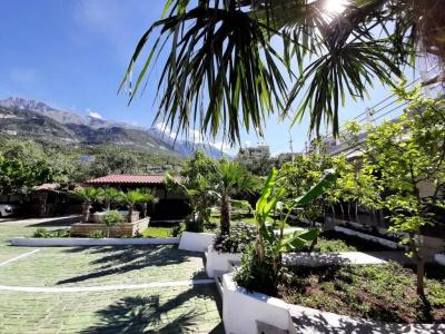 Yard Paradise - 34