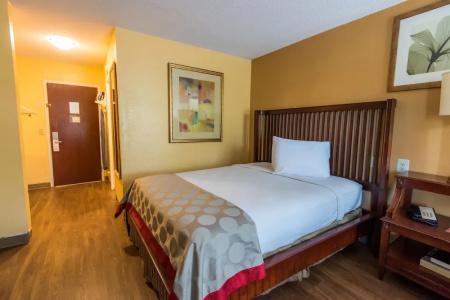 B&B Orlando International Drive Near Universal - Newly Renovated! - 114