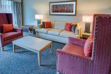Black Fox Lodge Pigeon Forge, Tapestry Collection by Hilton - 102