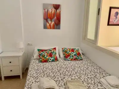 Skol Apartments Marbella - 78