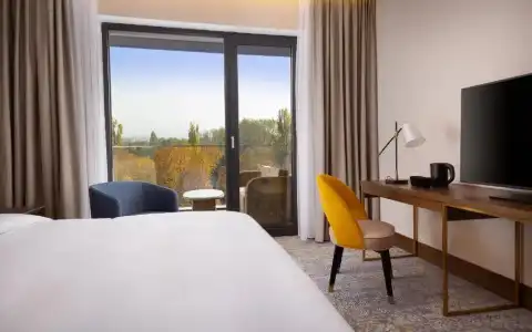 Swissôtel Wellness Resort Alatau - 62