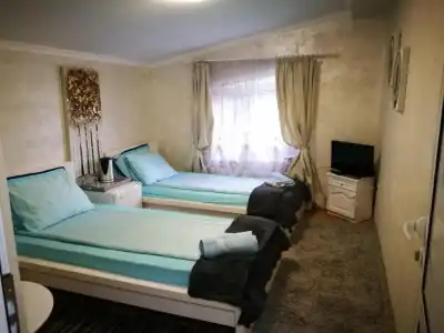 Paradise - 12