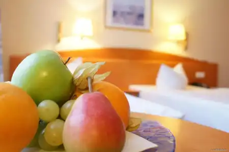 Best Western Macrander Dresden - 11