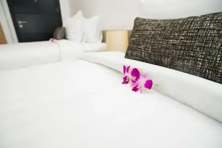 Pumeria Resort Phuket - 52