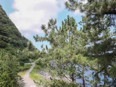 Isana Resort - 8