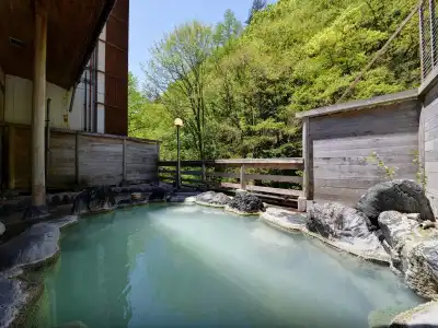 Shirahone Onsen Tsuruya Ryokan - 29
