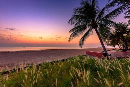 The Regent Cha am Beach Resort, Hua Hin - 29
