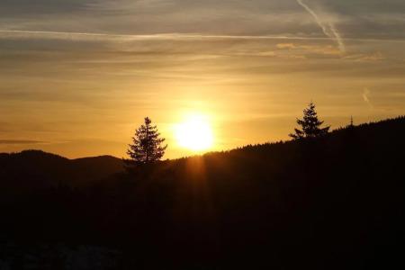 Boutique Kokoschinski - 16