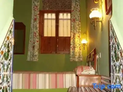 Abanico Casa Palacio - 43