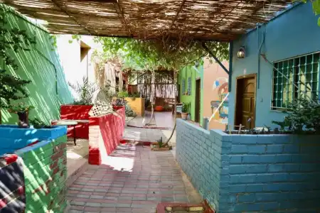 Bedouin Garden Village, Dive - 49