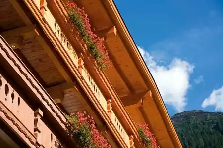 Schöpf - 0