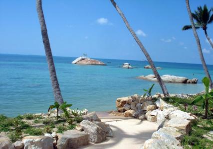 Kupu Kupu Phangan Beach Villas & Spa - 18