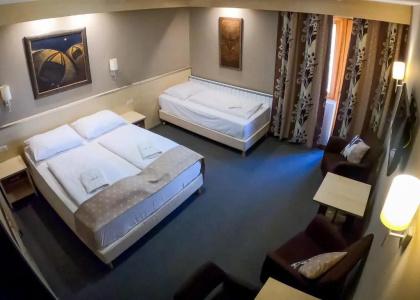 Vineyard Inn - 30